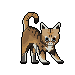 Feral Thorn Feral Thorn